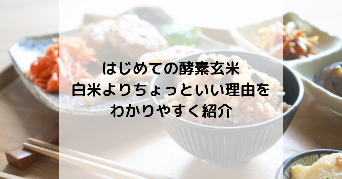 はじめての酵素玄米 白米よりちょっといい理由をわかりやすく紹介